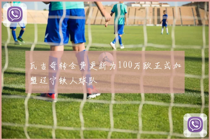 瓦吉奇转会费更新为100万欧正式加盟辽宁铁人球队